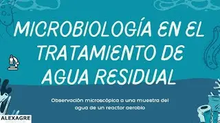 Microbiología de agua residual | Reactores aerobios