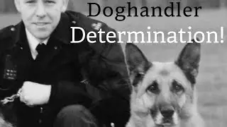 3 Tiny Secrets for UNSTOPPABLE Mental Health (The Dog Handler Method)
