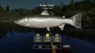 Russian Fishing 4 2023 11 20 kuori lake lake trout