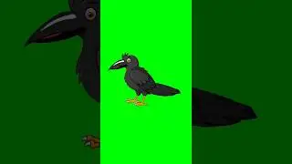 Crow/crow video/crows flying/green screen birds flying/Birds Green screen/Crows Green Screen/Crows