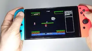 Arcade Archives VS. BALLOON FIGHT Nintendo Switch handheld gameplay