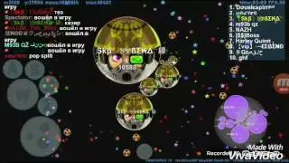 Petri Dish Triksplits and Vanishsplit