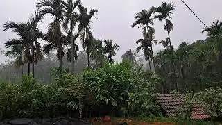 Merthi Gudda Trek &ndash; Offbeat Charmadi Ghat Adventure | Karnataka Forest Booking Info Inside