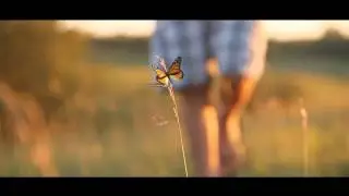 CGI Butterfly