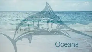Adams MSU CAS 207 Week 1 Logo Video 2