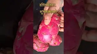 🙏🙏Hartalika Recipe 🙏🙏SPECIAL FRUIT FOR FAST🙏|#shortsfeed #shorts#fast #trending #fruit #ytshorts