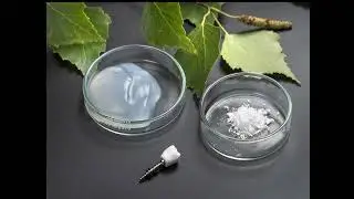 INTERESTING MATERIALS: Nanocellulose