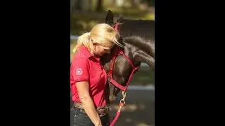 Saving Neglected Horses in Southern California