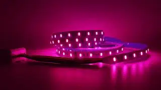 5 in 1 RGBCCT LED Strip work with MJJC WT5 Tuya Remote Controller
