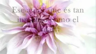 Amor Incomparable - Ruth Ramírez