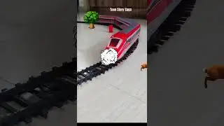 Peacock Bird is following the rabbit and the train is approaching fast | Peacock 🦚 Video