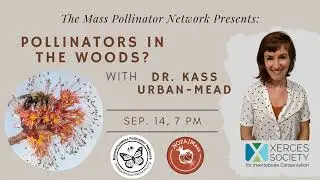 Pollinators in the Woods with Dr. Kass Urban-Mead