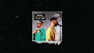 Триагрутрика х Marselle x Jahmal TGK type beat | Soulful Boom bap 2025 - Petal (prod. Bitodelnya)