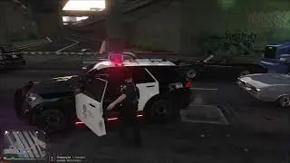 GTA V LSPD POLICE PATROL | LSPDFR #9