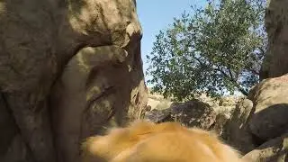 King Kam - Stoney Point Park