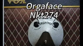orgaface nkt274，organic sound