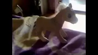 Un nou model de ponei.
