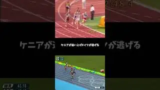 Men's 4 &times; 400 m relay WR 2:54.29  USA 22 Aug 1993 World Championships Stuttgart #legend