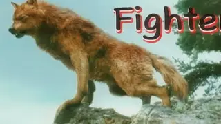 Twilight wolves: Fighter.