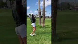 The best golf shot accuracy 🤯 🎯