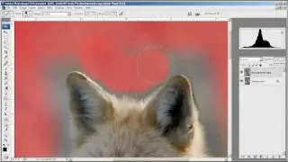 Yellow Wood Guiding Advanced Photoshop - Quick Mask editing
