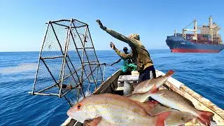 COUGHT MASSIVE RED SNAPPERS IN DEEP WATER TRAPS/1st time AFTER CROCODILE ATTACK 🐊 