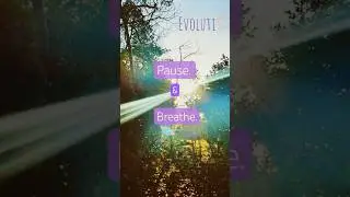 Music to calm your mind 💜