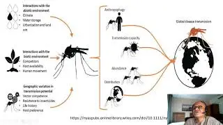 3   Climate  Ecology  and Distribution Mosquitoes