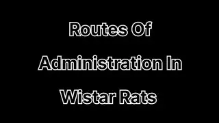 Preclinical Routes Of Administration In Wistar Rats