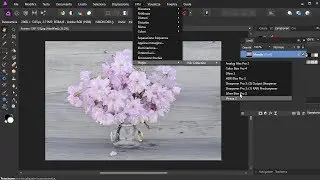 Affinity Photo come Installare i Filtri Nik Collection