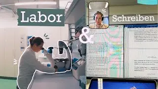 Eine REALISTISCHE Woche in meiner Masterarbeit // Labor und Masterarbeit schreiben // Thesis Diaries