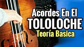 Acordes en el Tololoche - Como Tocar El Tololoche - Clases Gratis - Leo Mart