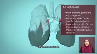 Indonesia&rsquo;s Worsening Air Quality and its Impact on Life Expectancy
