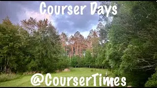 Courser Days - (11 HR) Come walk with the 10 dog pack!