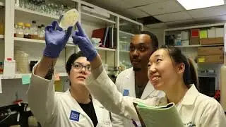 BACTERIA-EATING VIRUSES KILL HARD-TO-STOP INFECTIONS