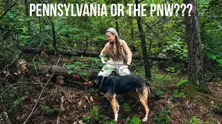 After Work Adventures: Exploring Pennsylvania Trails with My Pup