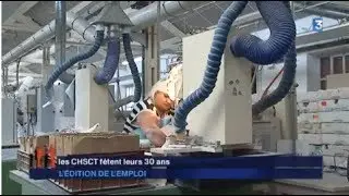30 ans que les CHSCT font &eacute;voluer les conditions de travail - Aract Lorraine sur France 3