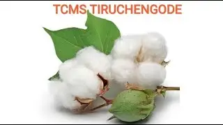 TCMS ஏல விற்பனை 11. 01.23, கூட்டுறவு தயாரிப்புகளை பயன்படுத்தி ஆரோக்கியம் பெறுவீர் .