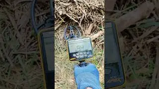 Treasure Hunting with Metal Detector #viralshorts #metaldetecting #treasurehunting