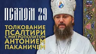 Толкование Псалтири. Псалом 29.