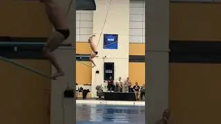 407C Men's 3m Springboard Diving - Greg Duncan - 2023