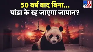 Japan Panda: 50 वर्ष बाद बिना पांडा के रह जाएगा जापान- TV9 | Japan Zoo Panda