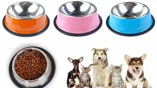 Pet Travel Feeding Stainless Steel Bowl 🐾 Dog Cat Feeder Water Food Dish