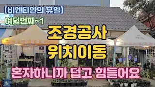 [비엔티안의 휴일 9]1.도마식당 화단정리~혼자하면 힘들어요