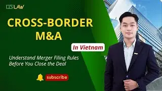 Cross-Border M&A and Merger Filing Requirements in Vietnam | LTS LAW FIRM