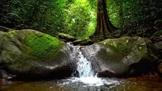NATURAL RIVER SOUNDS ASMR | RELAXING WATER AMBIENCE FOR FOCUS, SLEEP, AND CALMING
