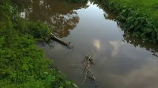 Mavic Pro Test 4k - 30fps (downscaled 1080)