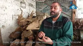 Surviving Against the Heart &ndash; A Gaza&rsquo;s Voice Report 🇵🇸🎥#gazasvoice #gazajournalists