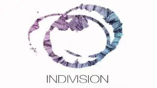 Indivision & Moleman - Forgotten Past