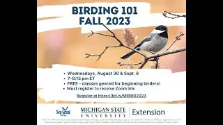 Michigan Birding 101 Fall Refresher 2023 Session 1
